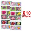 Garden Beauty 2021, 200 Pcs