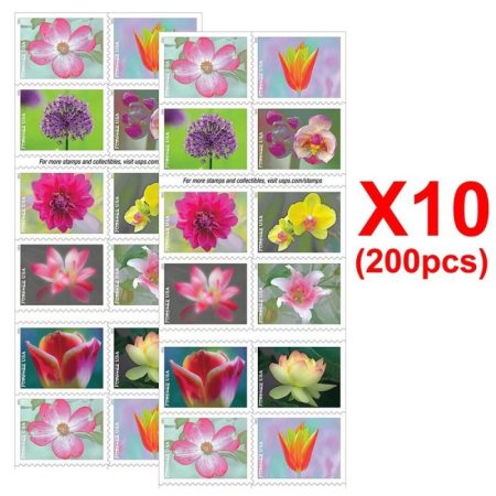 Garden Beauty 2021, 200 Pcs