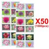 Garden Beauty 2021, 1000 Pcs